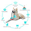 Dog Tug of War Toy Chew Toy Slow Feeder Food Dispenser Sounding Interactive Toy Firmly Suction Cup Toothbrush Durable Molar Ball