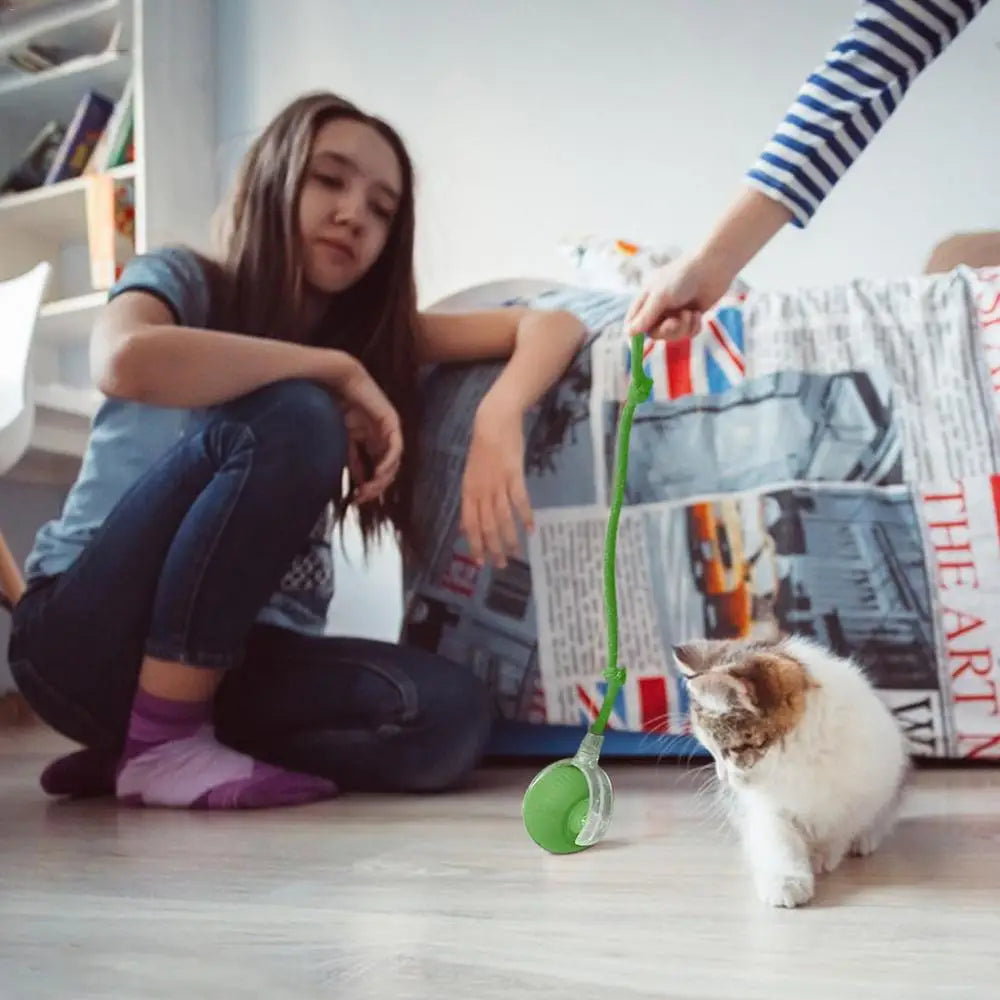 Electric Cat Ball Toys Automatic Rolling Ball Cat Puzzle Toy Cat Balls Smart Pet Interactive Toy Dog Cat Training Playing Toys