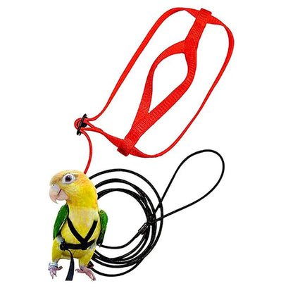 Training Flying Traction Rope Anti-Bite Training Rope Bird Parrot Flying Rope Parrot Harness Bird Harness Leash
