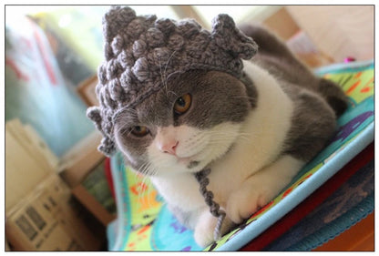 Winter Cosplay Buddha Pet Dog Hat Ginger Ear Protective Head Wear for Small Puppy New Year Lace Up Yorkshire Cat Accessories