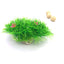 Artificial Wide Short Fish Tank Aquarium Plastic Plant Simulation Water Plants Grass For Fish Tank Aquarium Decoration Beautiful