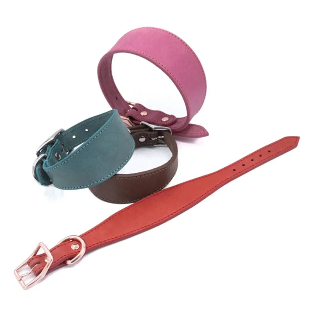 Soft Real Leather Extra Wide Padded Tapered Dog Collar Glossy Brown Black Greyhound Saluki Deerhound Lurcher Whippet Dachshund