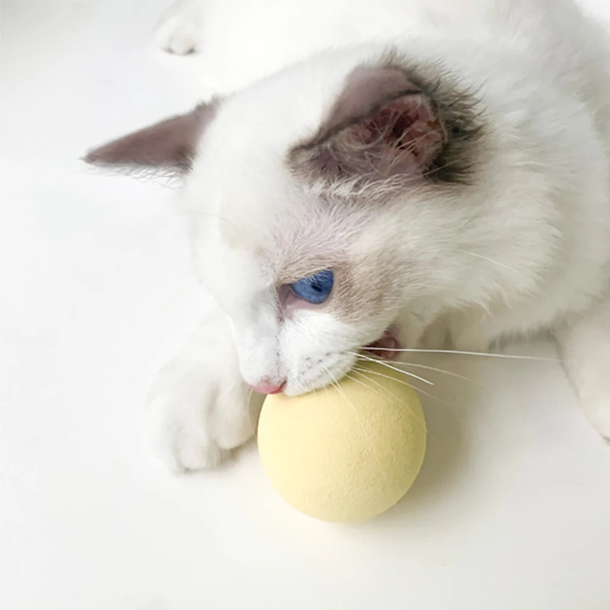 EW Gravitational Barking Ball Teaser Cat Stick Mint Ball Toy EW Gravitational Barking Ball Teaser Cat Stick Mint Ball Toy