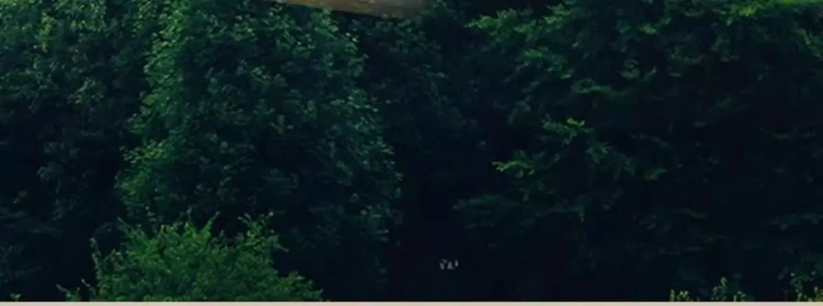 Solid wood cat nest Four seasons universal kennel Winter warm cat house dog house pet dog villa outdoor wooden house indoor