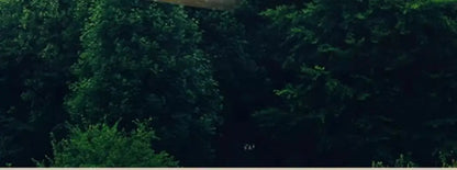 Solid wood cat nest Four seasons universal kennel Winter warm cat house dog house pet dog villa outdoor wooden house indoor