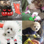 4pcs/Set Dog Shoes For Small Dogs Anti Slip Cat Socks For Cat Cute Dog Socks Pet Chihuahua Dog Clothes Christmas Dog Accessories