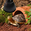 Reptile Heat Lamp Fixture Deep Dome Lampshade Optical Reflection Cover Terrarium Light Fixture for UVB Light Bulb Basking Bulb