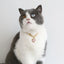Cat Collar Dog Princess Love Cat Necklace Handmade Birthday Party Necklace Cat Accessories Pet Puppy Crystal Diamond Pendant