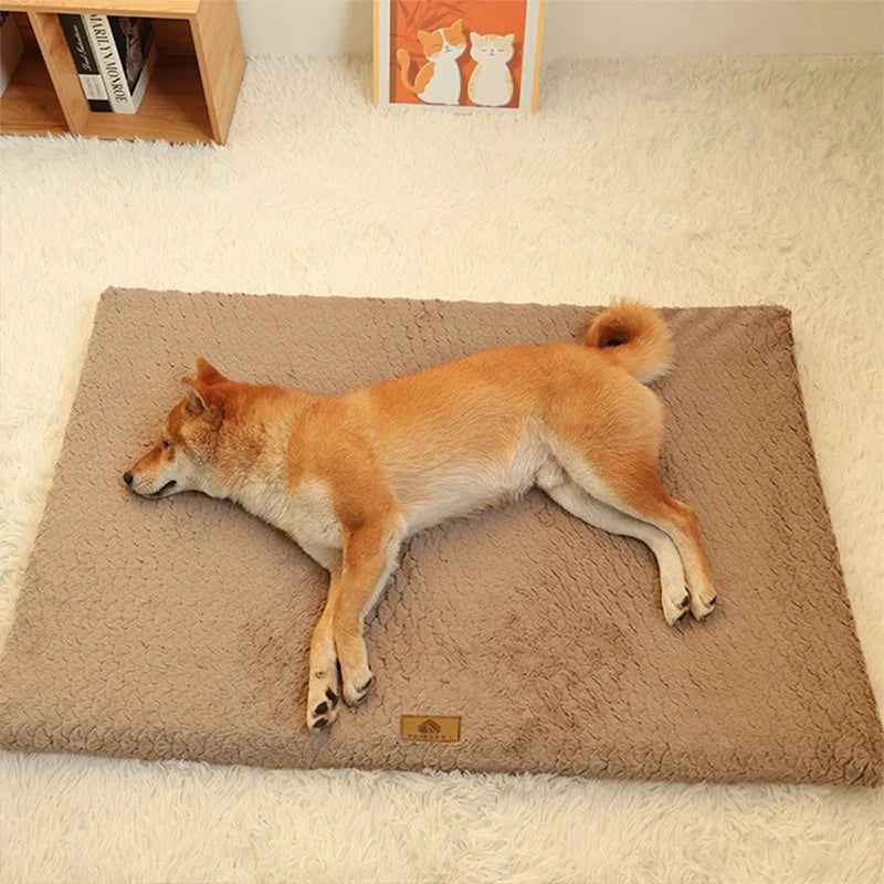 Pets Dogs Accessories Dog Bad Medium Bed Pet Products Big Mat Sofa Cushion Supplies Cushions Puppy Small Baskets Large Beds Cats