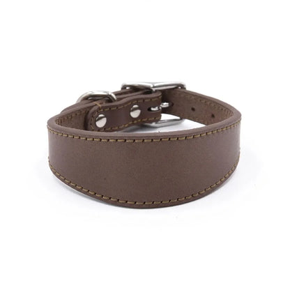 Soft Real Leather Extra Wide Padded Tapered Dog Collar Glossy Brown Black Greyhound Saluki Deerhound Lurcher Whippet Dachshund