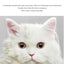 Atmosphere Light Plush Portable Disassembled Modular Indoor Dog Other Pet Cages & Houses Product cat Silent Cabinets