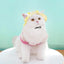 Dog And Cat Sun Hat Anti-strangle Hat Anti-fall Exposed Ears Adjustable Rope Buckle Bucket Hat Pet Supplies Colorful Large Size
