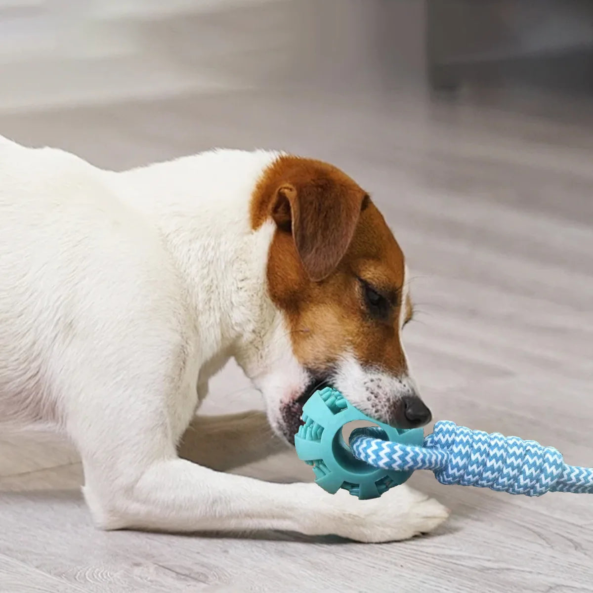 Durable Dog Rope Toys Ball on Rope, Tug of War Dog Toy Interactive Exercise Reward Toy for Medium Small Dogs,Rubber Dog Chew Toy