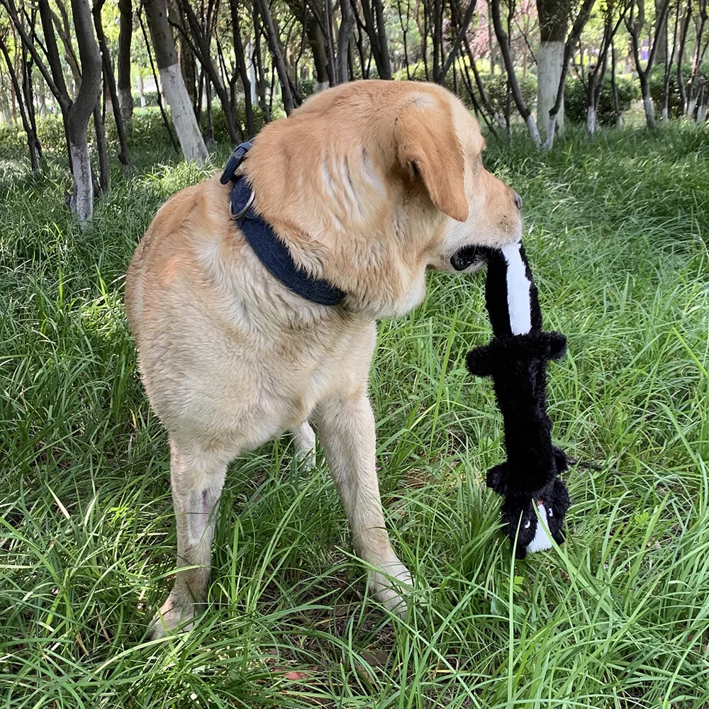 Dog Plush Toy Birthday Gift For Large Medium And Small Dogs Fun Pet Toys Plush Unfilled Animal Skins Skunk Fleece Squeak Toys