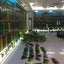 Small and medium-sized ultra-white glass hot bending tank bullet large screen ecological goldfish tank aquarium