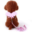 Small Animal Rabbit Harness with Leash Cute Bunny Collar Pet Bunny Supplies Cat Harness & Leash Set for Adult Guinea Pig Ferret
