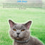 Pet deworming collar, adjustable collar for dogs and cats, anti lice, fleas, ticks, pet collar supplies