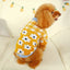 Designer Knitted Dog Sweaters Solid Color Autumn Winter Warm Pet Cat Clothing Chihuahua Lightweight Clothes for Small Dogs