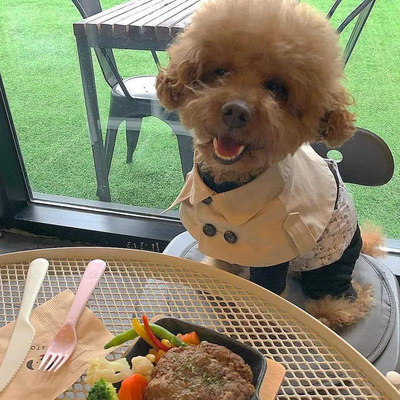 British Style Dog Winter Clothes Pet Clothes for Small Medium Dogs Teddy Chihuahua Puppy Pet Teddy Bib Windbreaker Cloak