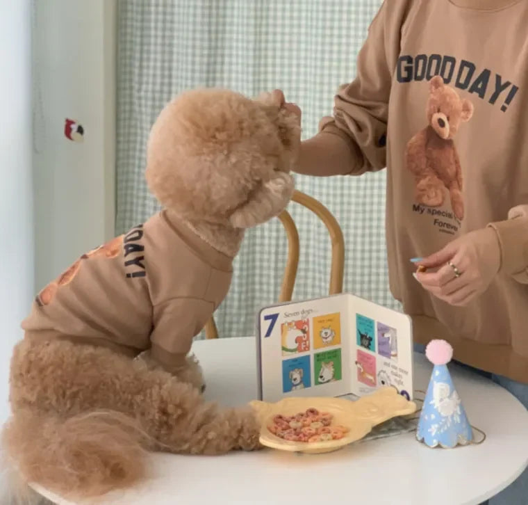 Winter Warm Cute Pet Casual Wear Clothes Bichon Hoodies Cartoon Bear Design For Puppy Dogs Poodle Teddy Girls Sweatshirt Jacket