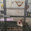 Parrot hammock, hamster nest, double-layer warm hanging nest, detachable and washable hanging peony bird shelter
