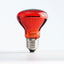 E27 Reptile Bulb Heating Night Light Daylight UVA 55g Ceramic Heating Lamp Simulates UVA In Natural Sunlight Meet Lighting Needs