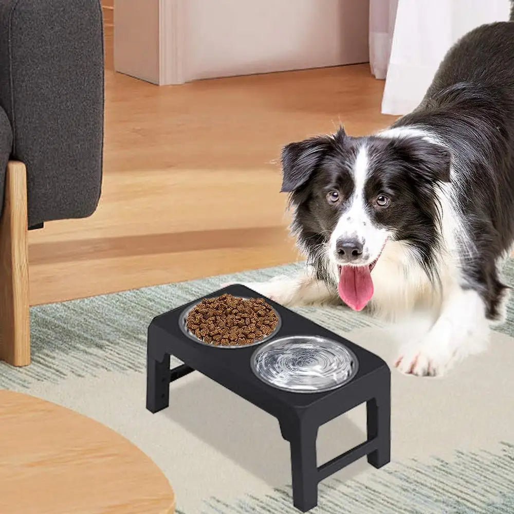 Elevated Stainless Steel Pet Feeding Bowls Height Adjustable Dog Bowl with Stand Cat Bowls Food Water Set with Two Bowls