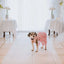 Dog Dresses Puppy Wedding Dress Female Dogs Wedding Costume Girl Dogs Rose Dress for Doggy Teddy Chihuahua Pet Princess Clothing