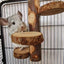 5/10Pcs DIY Natural Wood Slices Round Wooden Circles for Hamster Rabbit Teeth Grinding Toys for Chinchilla Pet Toys accessories