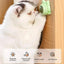 Catnip Balls Funny Lickable Cat Snack Catnip Balls Kitten Playing Chewing Cleaning Teeth Toy For Small Medium Cats pet supplies