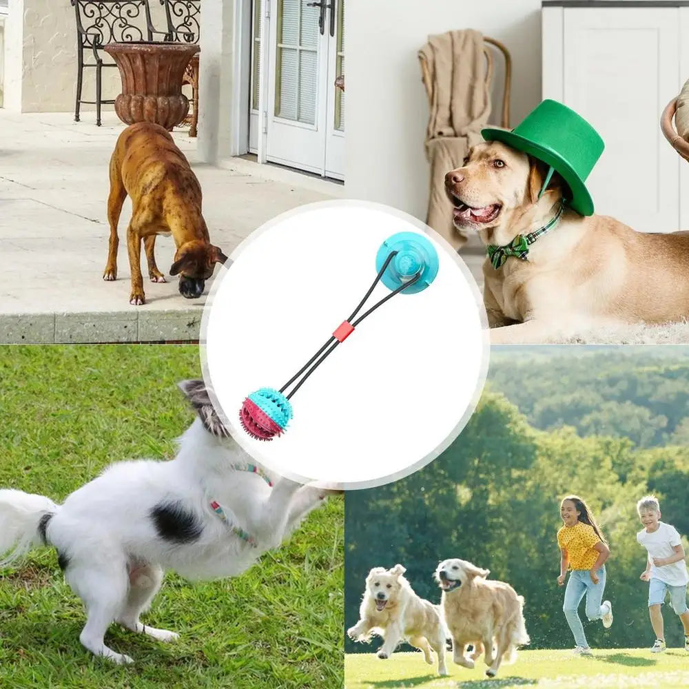 Chew Toys For Dogs Soft Chew Toys Slow Feeder Bite-Resistant Pet Toys Dog Teeth Cleaning Ball With Suction Cup For Living Rooms