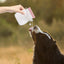 320ml Portable Dog Drinking Feeder Leak Proof Pet Silicone Water Pouches Pet Water Supplies for Dogs Cats Hiking Camping