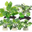 UXCELL Aquarium Artificial Plants Simulation Water Weeds Decorative Aquarium Decor Sets for Fish Tank Decoration Accessories
