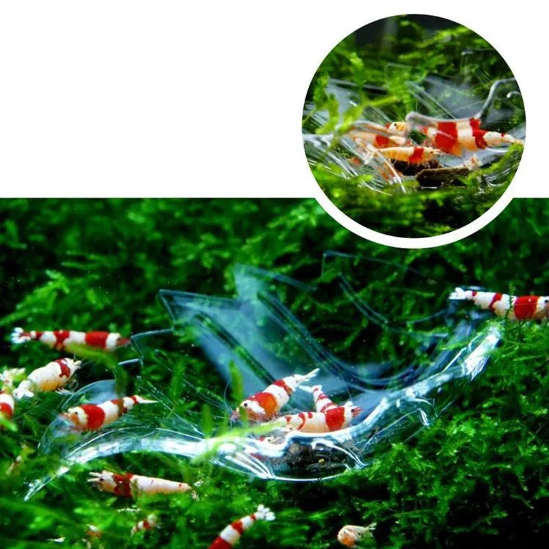 HighTransparent Acrylic Aquarium Fish Tank Shrimp Food Feeding Circle Feeder Floating Bottom Feeder Fish Shrimp With Suction Cup