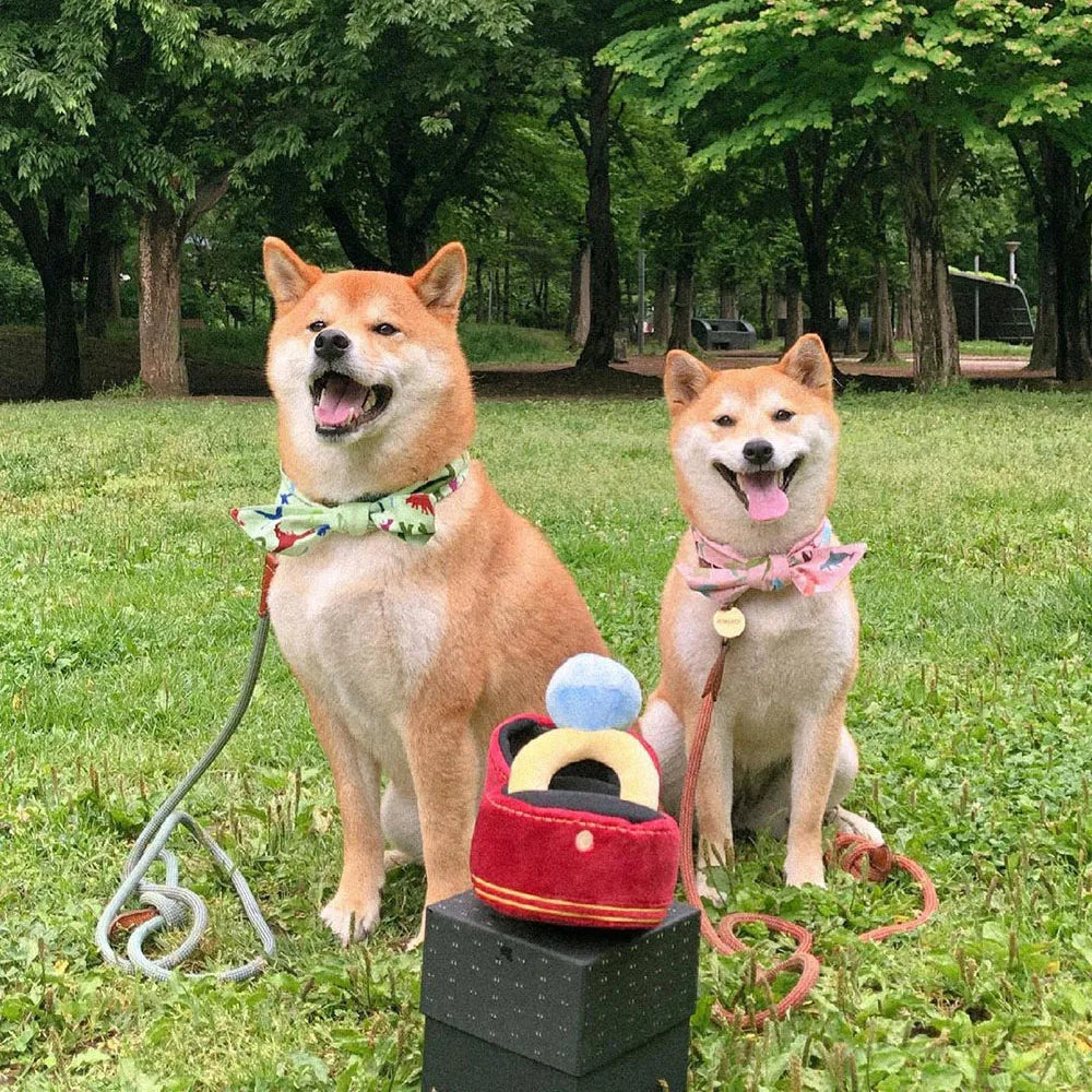 Creative Ring Box Plush Toy Love Diamond Ring Case Stuffed Pet Chew Toy Sounds Puppies Kids Cute Soft Dog Bitter Interested Toys