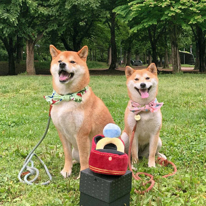 Creative Ring Box Plush Toy Love Diamond Ring Case Stuffed Pet Chew Toy Sounds Puppies Kids Cute Soft Dog Bitter Interested Toys