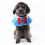 Adjustable Pet Dog Cat Saliva Towel Lace Decorative Bibs Scarf Bandana Collar Dog Accessories Small Dogs Bibs Cute Accessories
