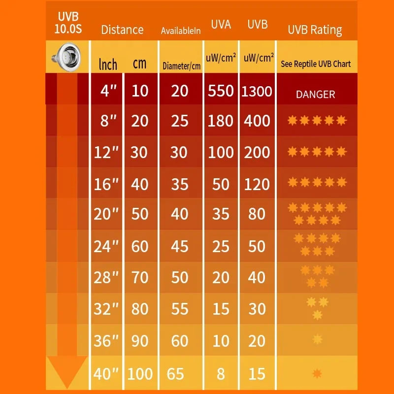 Reptile UV Lamp UVA+UVB 10.0S 20.0S Turtle Tortoise Lizard Basking Sunlight Bearded Dragon Terrarium Temperature Controller