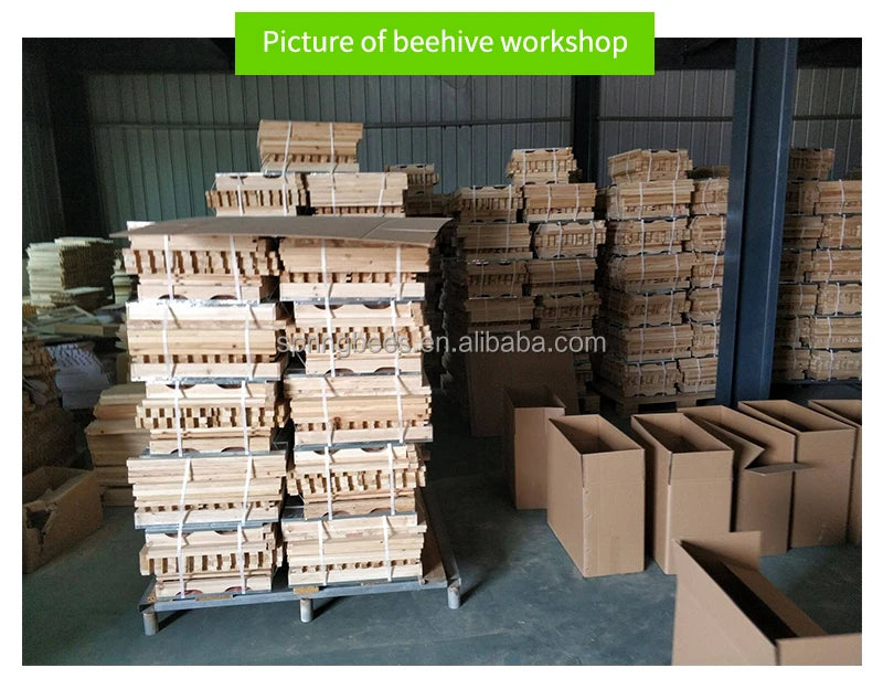 beekeeping Langstroth beehive 3 layer 10 frame beehive thermal plastic bee hive