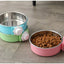 Pet Bowl Can Hang Stationary Dog Cage Bowls Stainless Steel Dog Cat Hanging Bowls Feeding Container for Small Dogs Accessorie