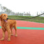 130cm Strong Nylon Dog Leash, Durable Braid Lead Rope for Small Medium Large Dogs Training Walking Pet Accessories