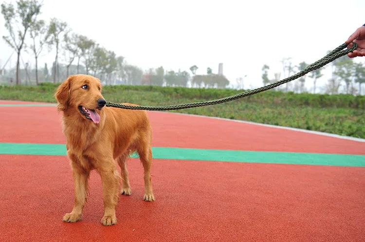 130cm Strong Nylon Dog Leash, Durable Braid Lead Rope for Small Medium Large Dogs Training Walking Pet Accessories