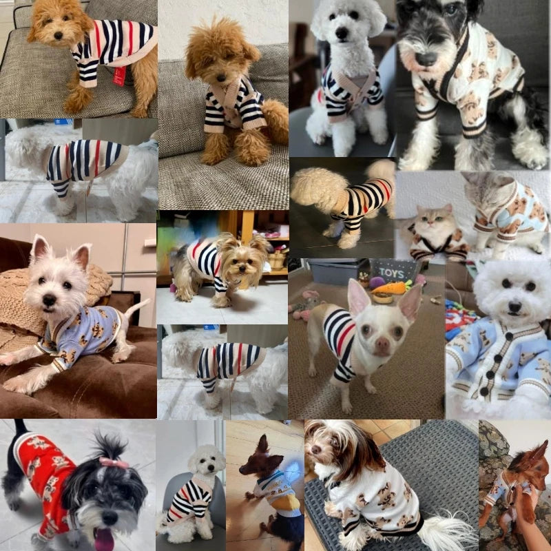 Autumn Winter Dog Clothes Chihuahua Bichon Pet Dog Sweater Soft Striped Cardigan Coat Puppy Warm Knitted Jacket Dog Girl Costume