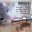 Silent Fine Needle Stainless Steel Striking Needle Water Bottle, Dragon Cat Beige Long Hair  Feed Water, Drinking Bottle