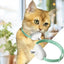 Laser Cat Collar LED Laser Cat Teasing Toy Cat Collar Toy Electric  Smart Laser Teasing Cat Interactive Toy Kitten Playing Toy
