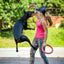 Floating Water Dog Toy Training Ring for Pets Interactive Puller Chew Resistant Perfect for Small Dogs Enhances Agility & Fun