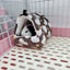 1PCS Coral Fleece Dot Printing Small Foam Pet House Hanging Hamster Bed For Small Animals Squirrel Parrot Cotton Nest