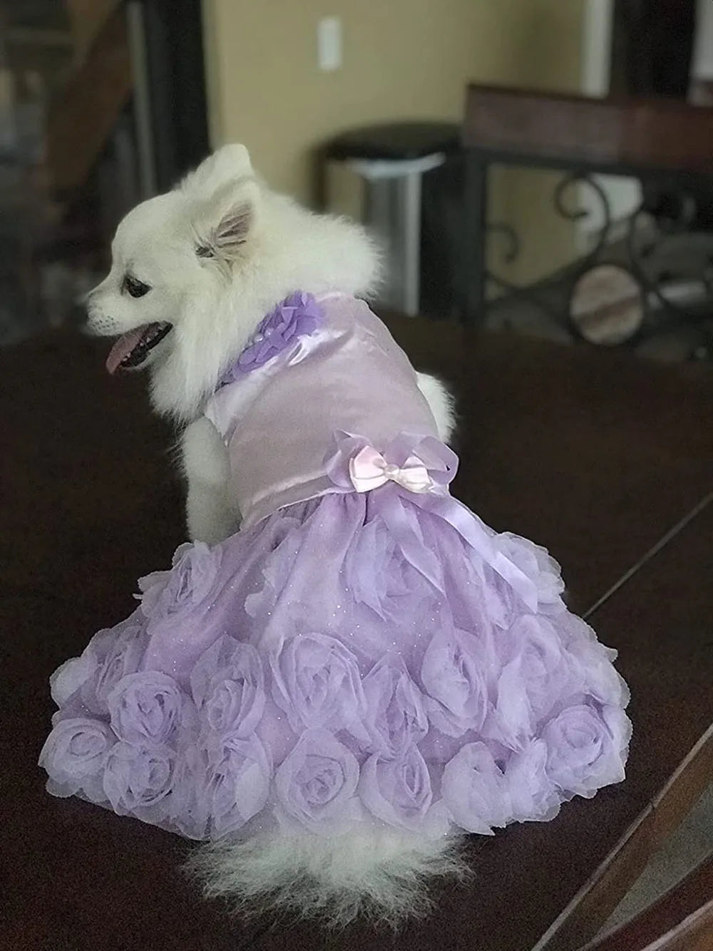 pink dog wedding dress Amazon.com : UOSIA Luxury Dog Tulle Dress - Cute Princess Lace Wedding Dress with Flower Bowknot Multi-Layer Princess Tutu Skirt for Large Dogs