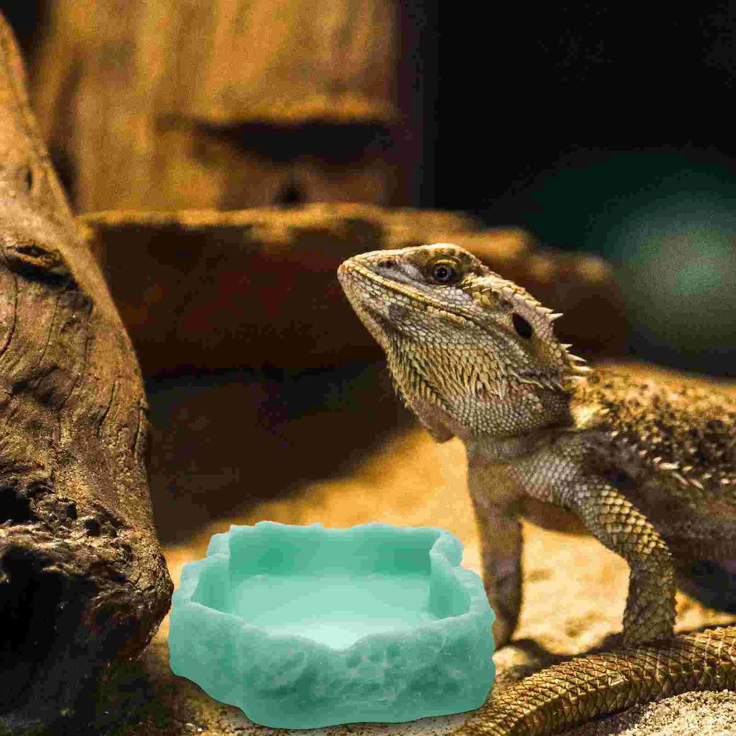 Luminous Water Bowl Reptile Feeding Dish Amphipod Turtle Feeder Pet Supplies Reptiles Incubator Shine Leopard Print