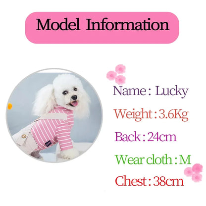 2023 Princess Dog Colorful Stripe Soft Suit Puppy Jumpsuit Spring Doggie Casual Pants Small Medium Pet Couple Four-Legged Coat